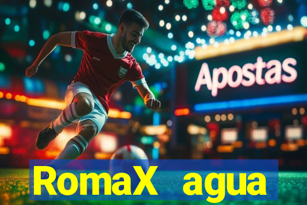 RomaX agua sanitaria fispq agua sanitaria romax